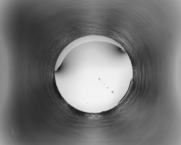 X0000094320621200711301209