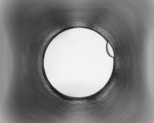 X0000094320625200711301209