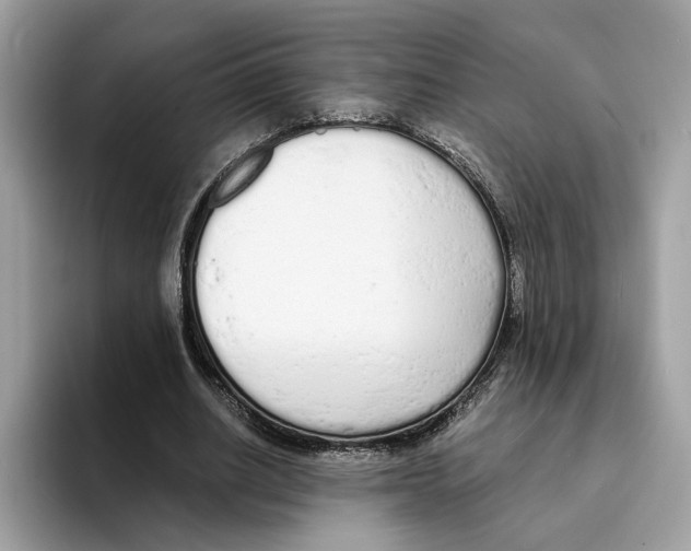 X0000094320630200711301209