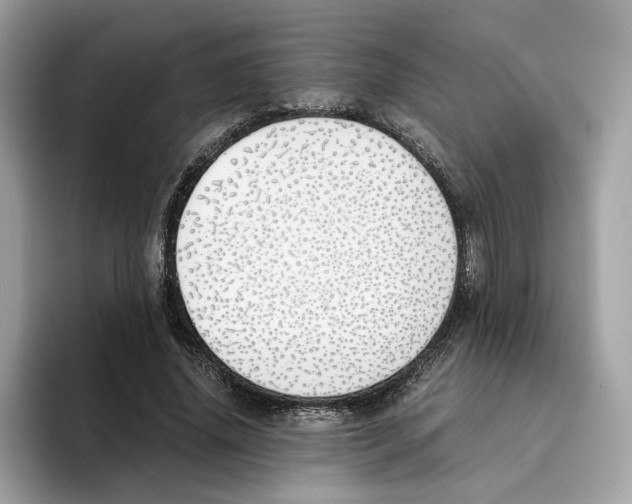 X0000094320636200711301209