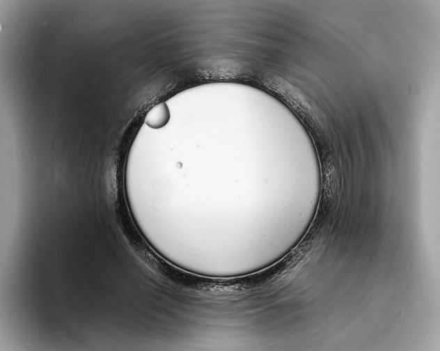 X0000094320638200711301209