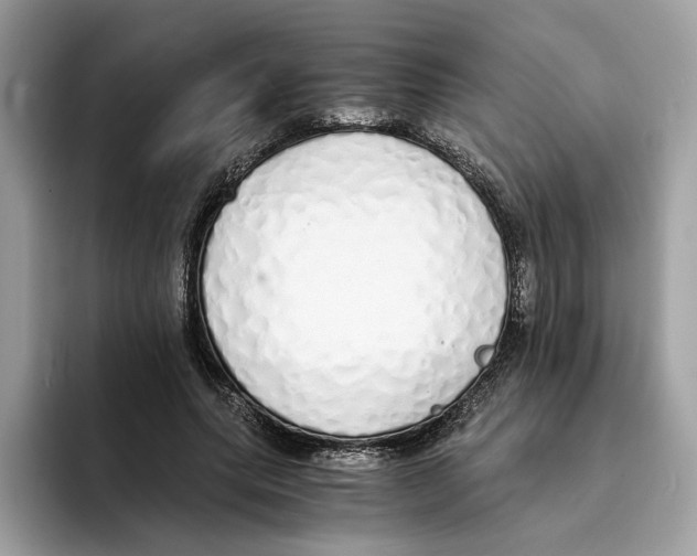 X0000094320639200711301209