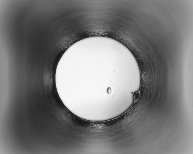 X0000094320642200711301209