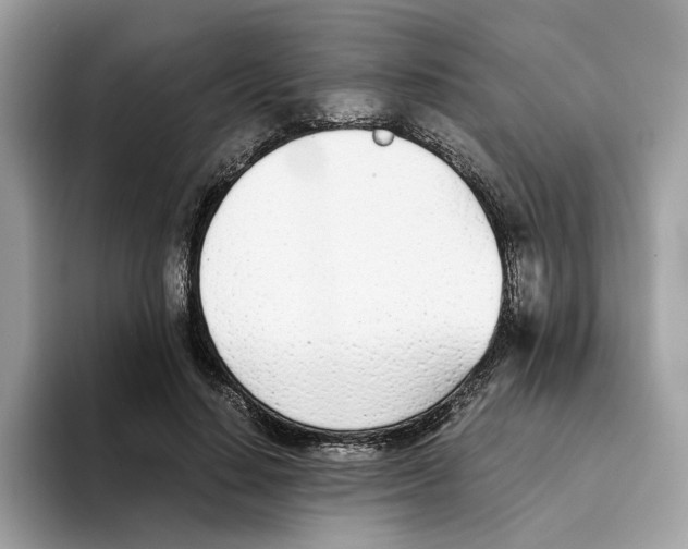 X0000094320644200711301209