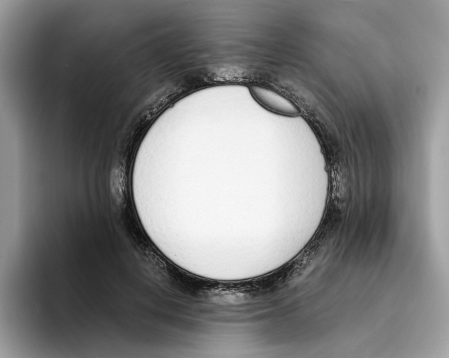 X0000094320648200711301209