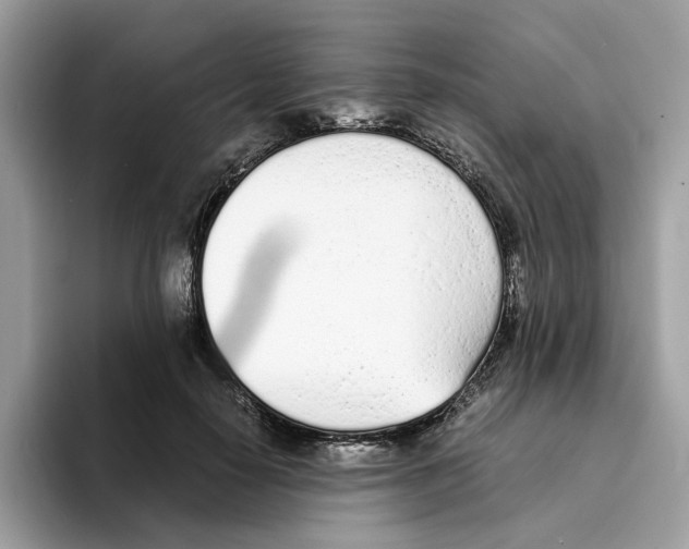 X0000094320650200711301209