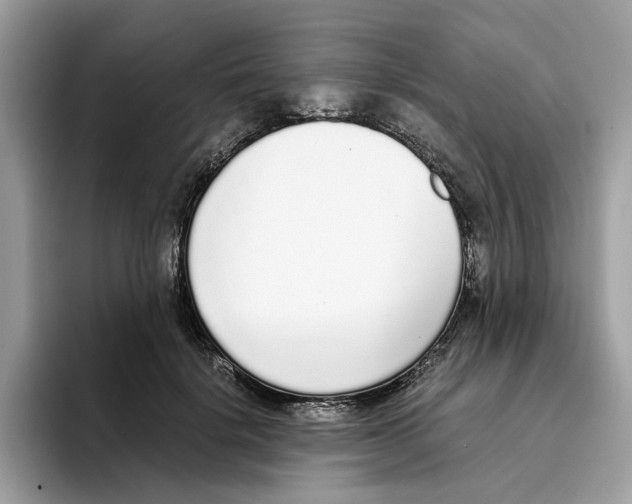 X0000094320652200711301209