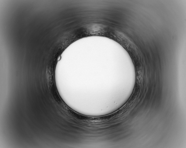 X0000094320653200711301209