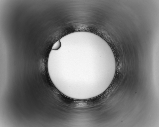 X0000094320658200711301209