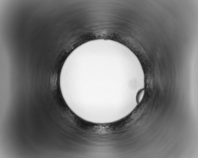 X0000094320660200711301209