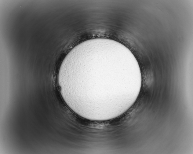 X0000094320661200711301209