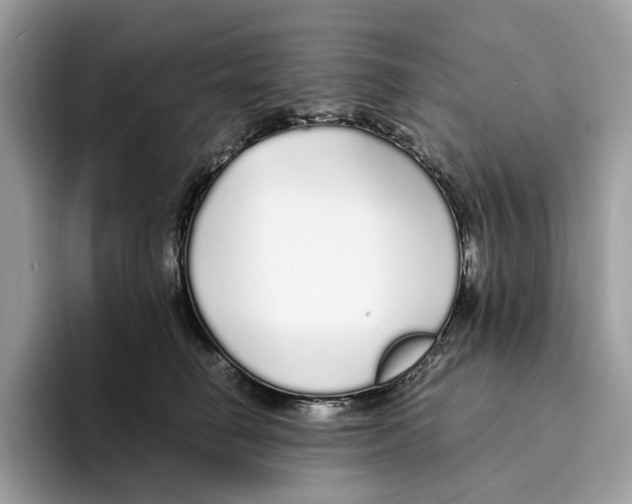 X0000094320662200711301209