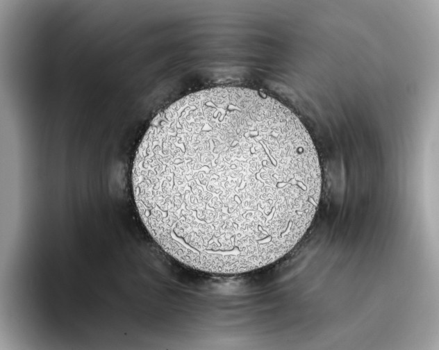 X0000094320667200711301209