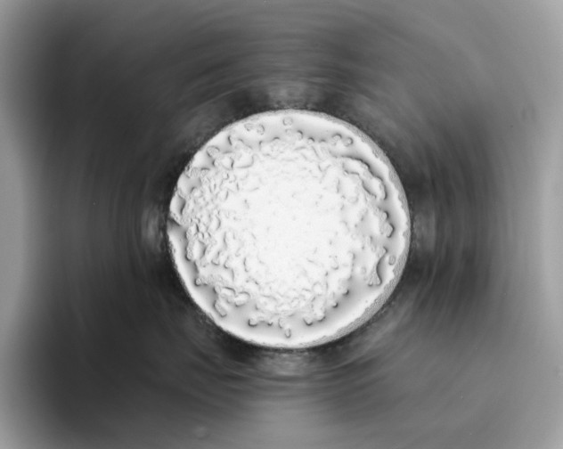 X0000094320671200711301209