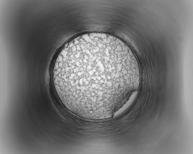 X0000094320674200711301209