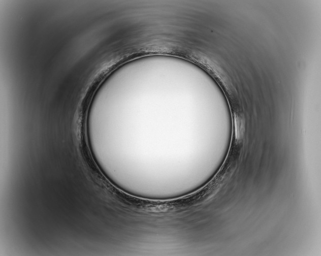 X0000094320675200711301209