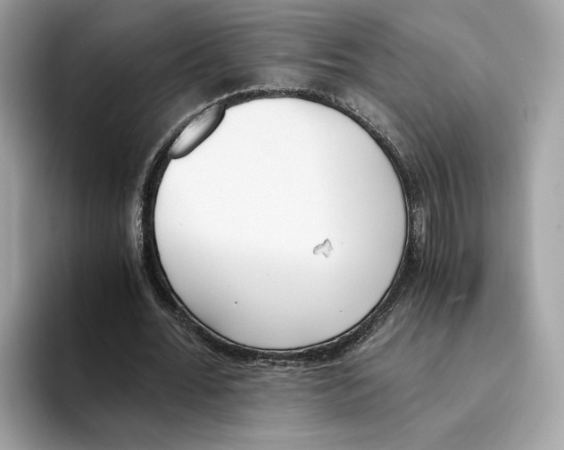 X0000094320676200711301209