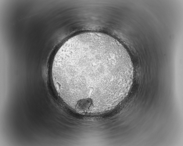 X0000094320679200711301209