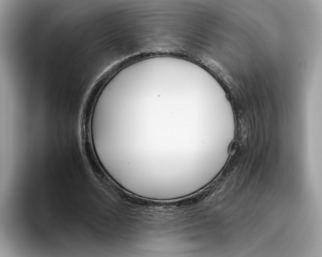 X0000094320680200711301209