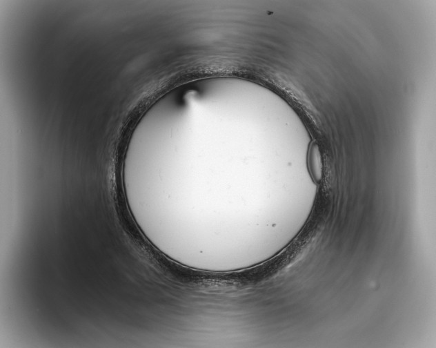 X0000094320681200711301209