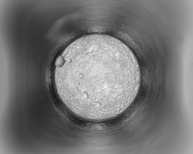 X0000094320683200711301209