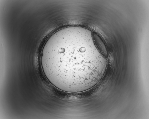 X0000094320684200711301209