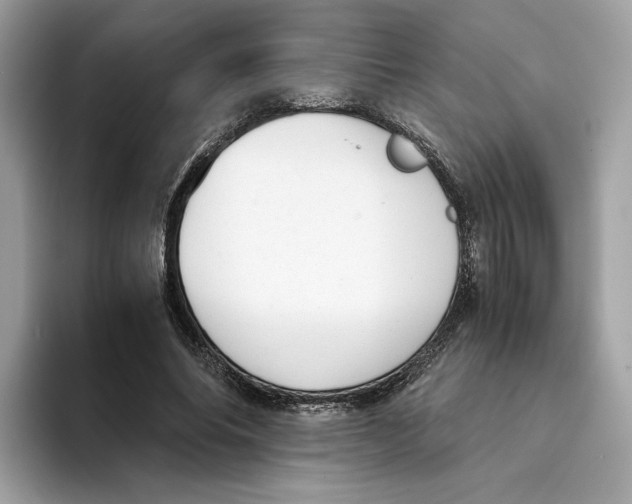 X0000094320686200711301209