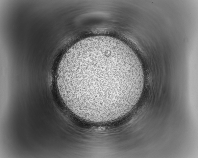 X0000094320687200711301209