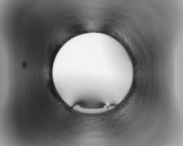 X0000094320689200711301209