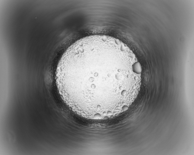 X0000094320691200711301209