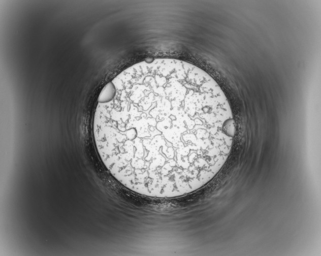 X0000094320695200711301208