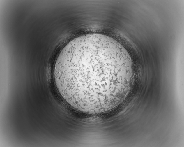 X0000094320696200711301208