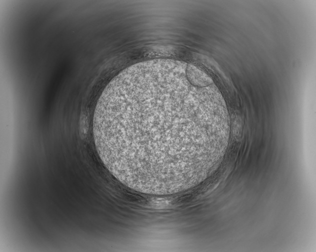 X0000094320701200711301208