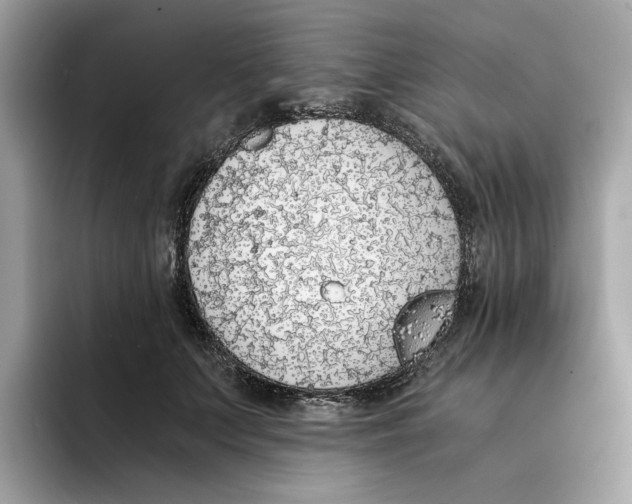 X0000094320703200711301208