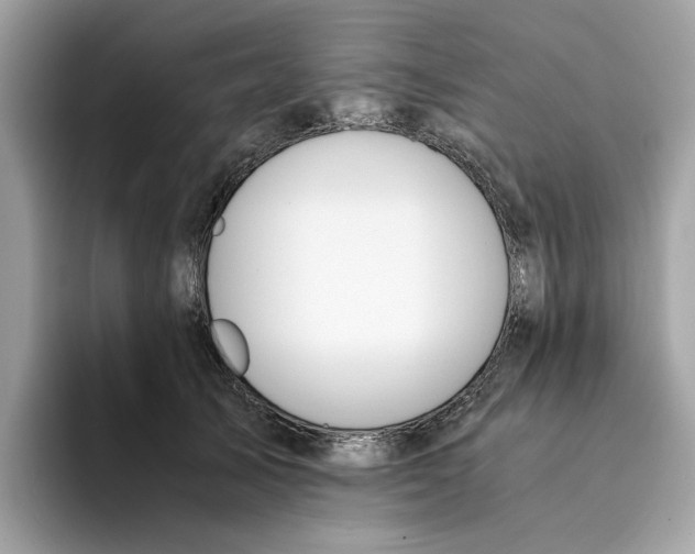 X0000094320705200711301208