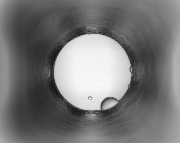 X0000094320706200711301208