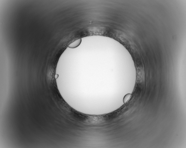 X0000094320713200711301208