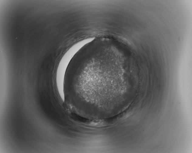 X0000094320720200711301208