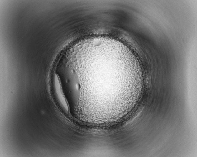 X0000094320725200711301208