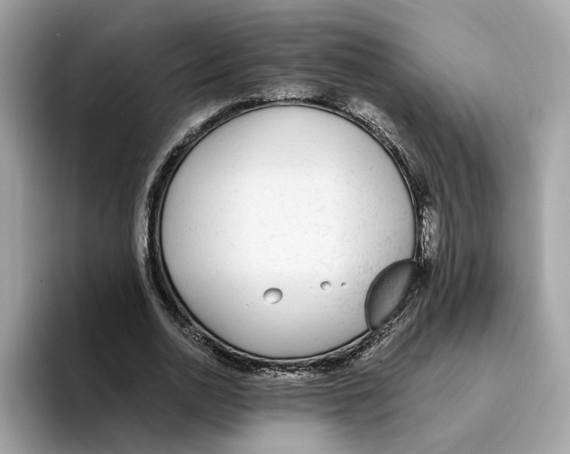 X0000094320726200711301208