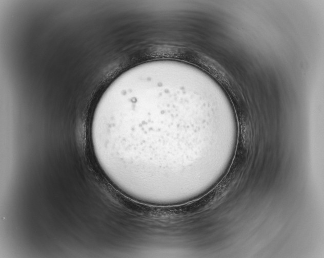 X0000094320729200711301208