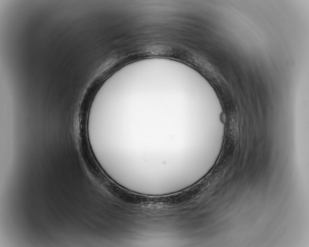 X0000094320730200711301208