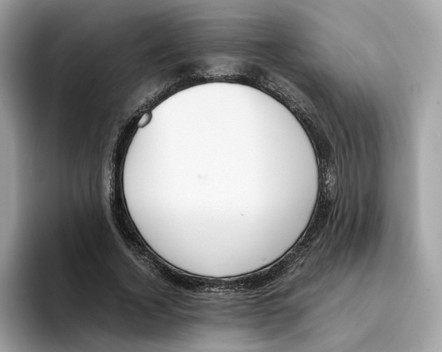 X0000094320732200711301208