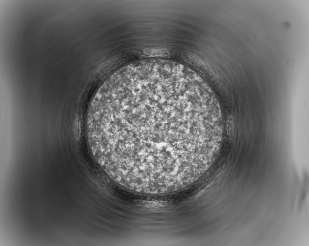 X0000094320741200711301208