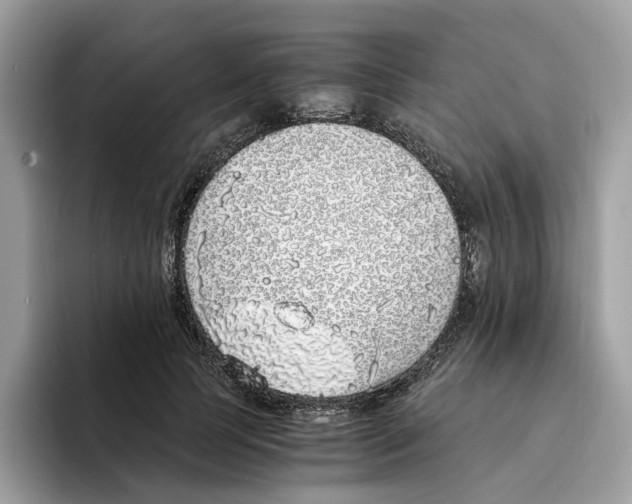 X0000094320745200711301208