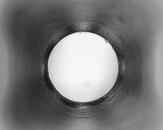 X0000094320746200711301208