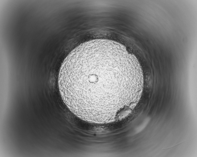 X0000094320753200711301208