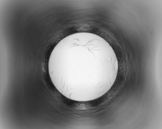 X0000094320755200711301208