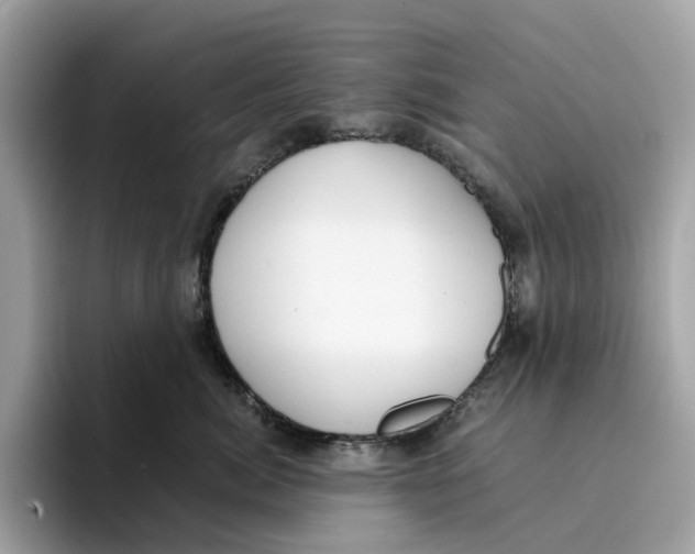 X0000094320764200711301208