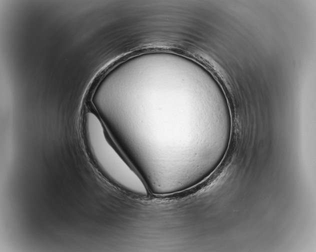 X0000094320779200711301207